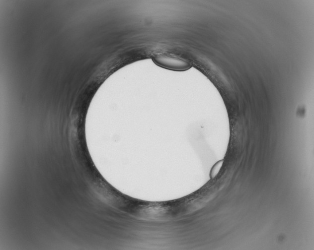 X0000116620217201001221346