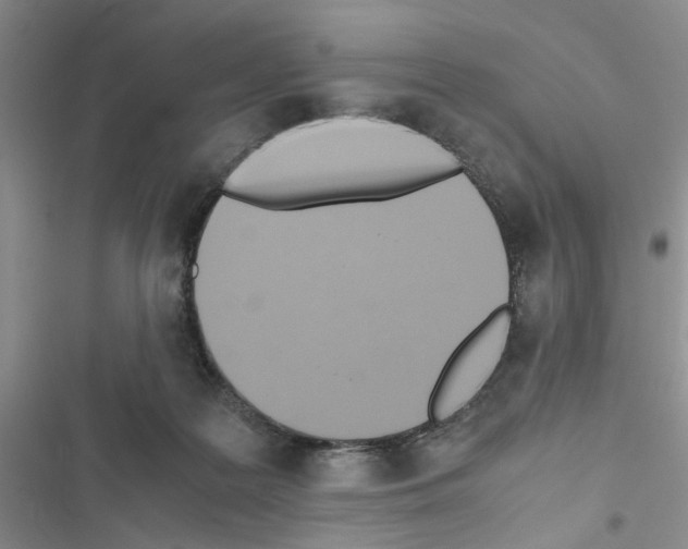 X0000116620219201001221346