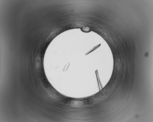 X0000116620220201001221346