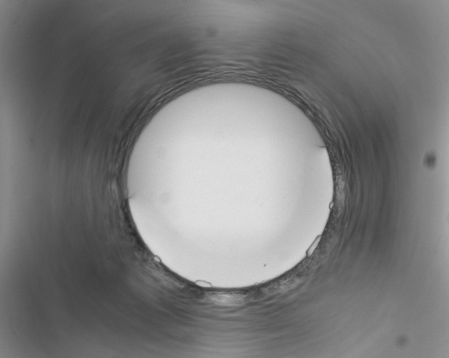 X0000116620221201001221346