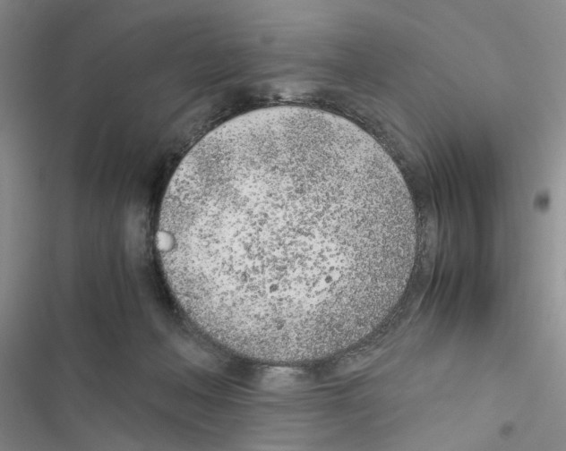 X0000116620222201001221346