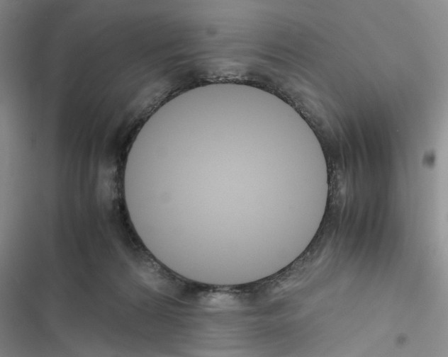 X0000116620224201001221346