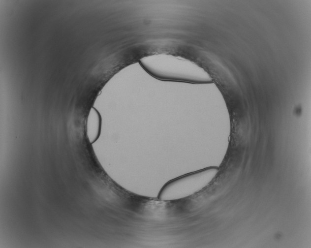 X0000116620227201001221346