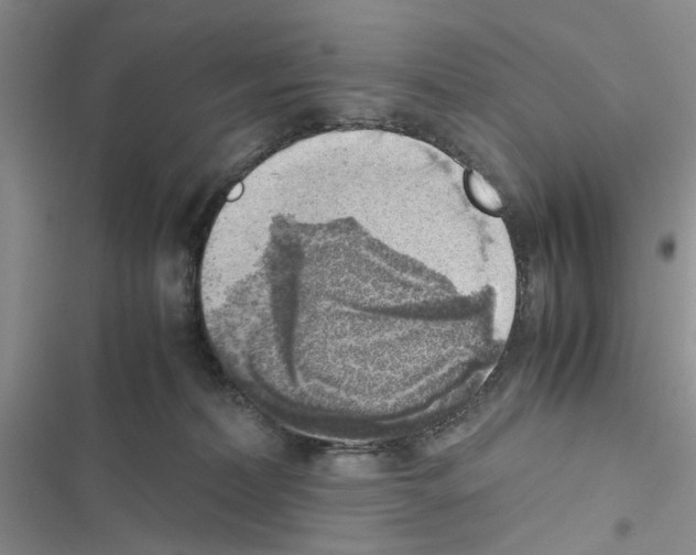 X0000116620228201001221346