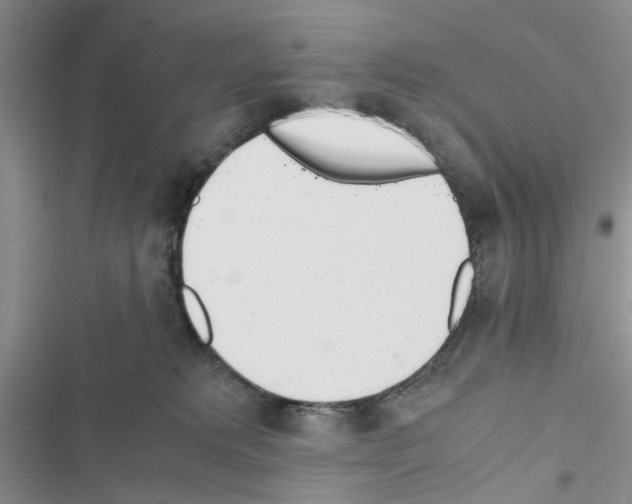 X0000116620229201001221346