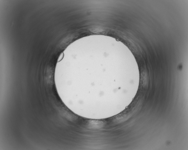 X0000116620234201001221346