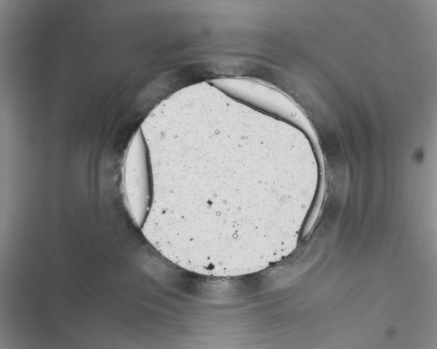 X0000116620237201001221346