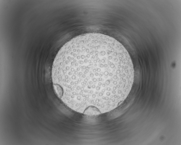 X0000116620238201001221346