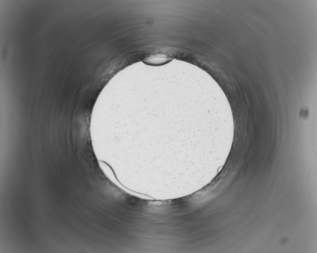X0000116620240201001221346