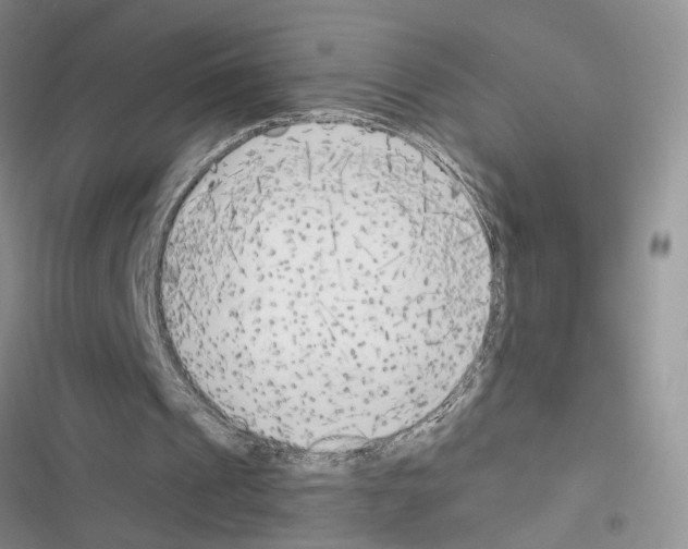 X0000116620241201001221345