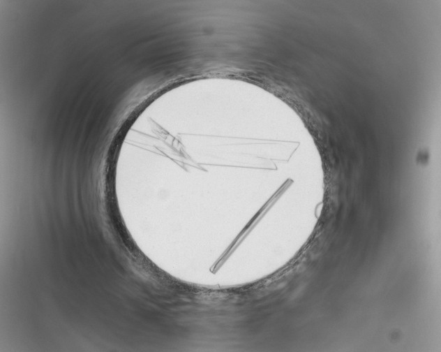 X0000116620242201001221345
