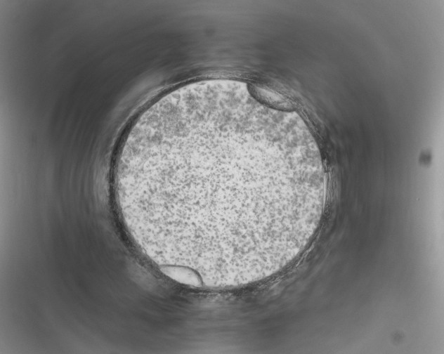 X0000116620243201001221345