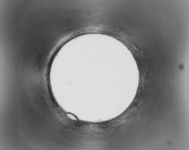 X0000116620244201001221345