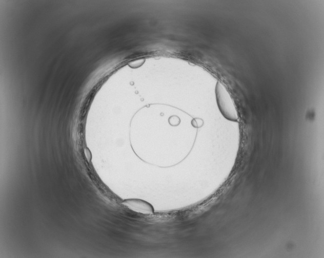 X0000116620245201001221346