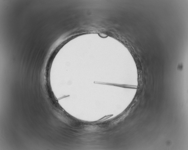 X0000116620246201001221346
