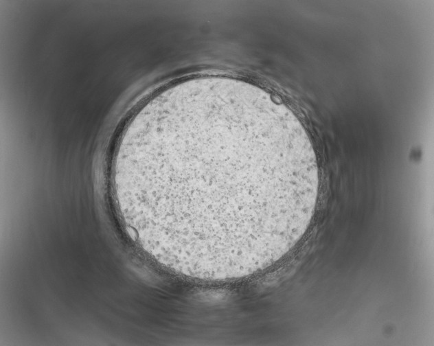 X0000116620247201001221346