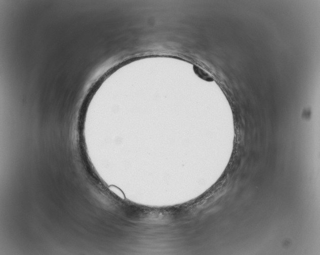 X0000116620248201001221346