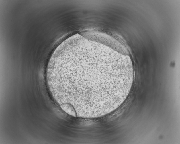 X0000116620249201001221346