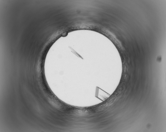 X0000116620250201001221346
