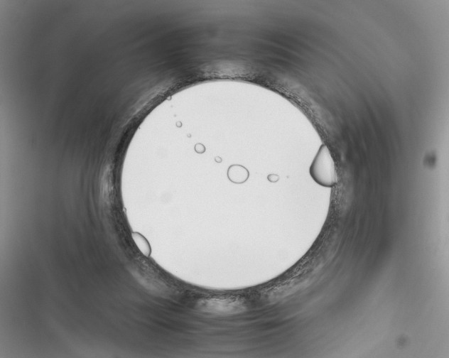 X0000116620251201001221346