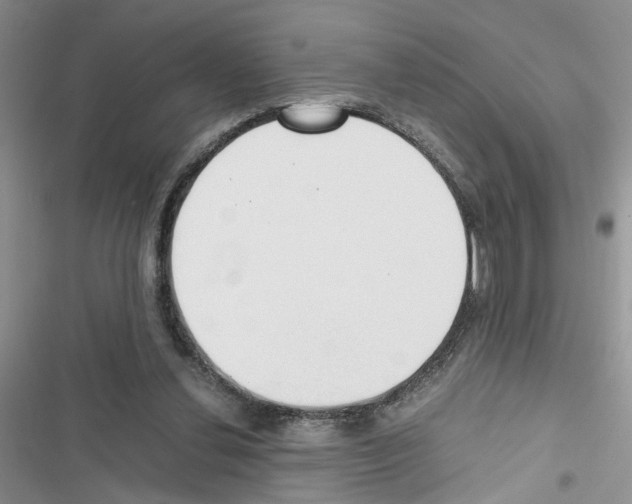 X0000116620252201001221346