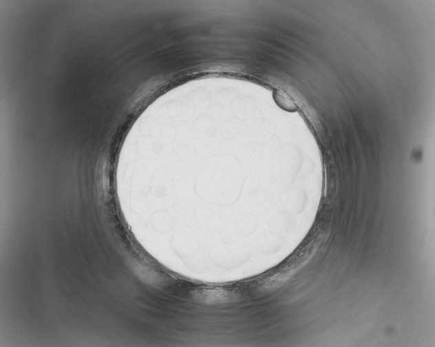 X0000116620253201001221346