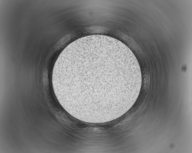 X0000116620254201001221346