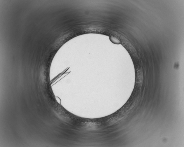 X0000116620255201001221346