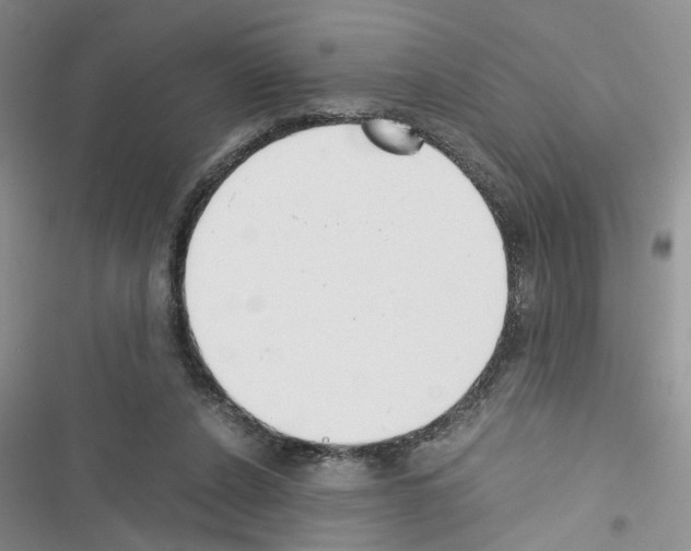 X0000116620256201001221346