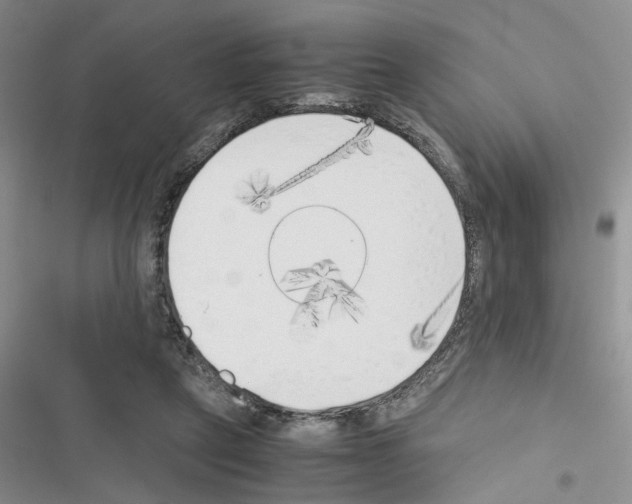 X0000116620257201001221346