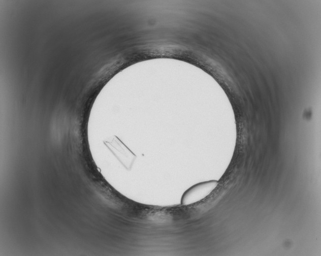 X0000116620258201001221346