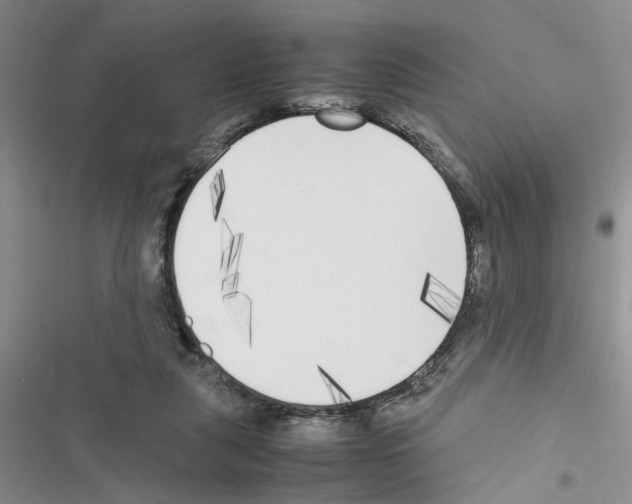 X0000116620259201001221346