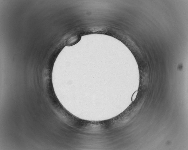 X0000116620260201001221346