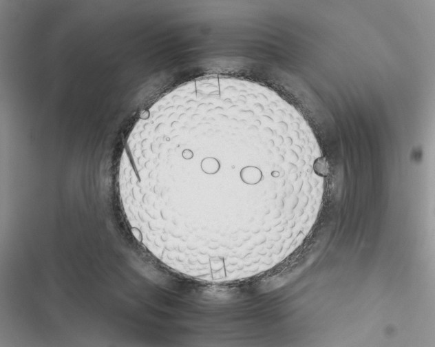 X0000116620261201001221346