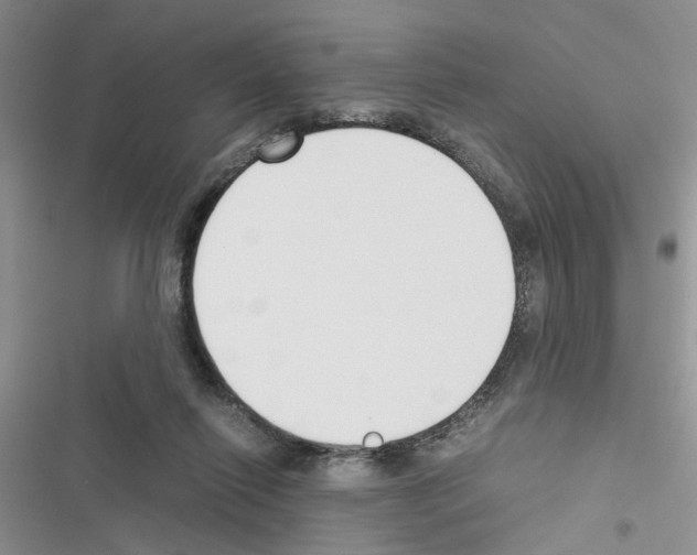 X0000116620262201001221346