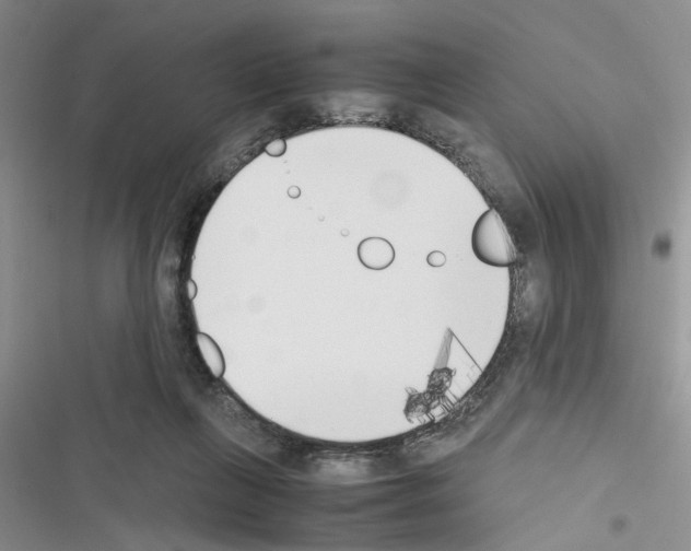 X0000116620263201001221346