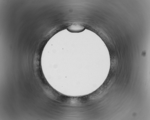 X0000116620264201001221346