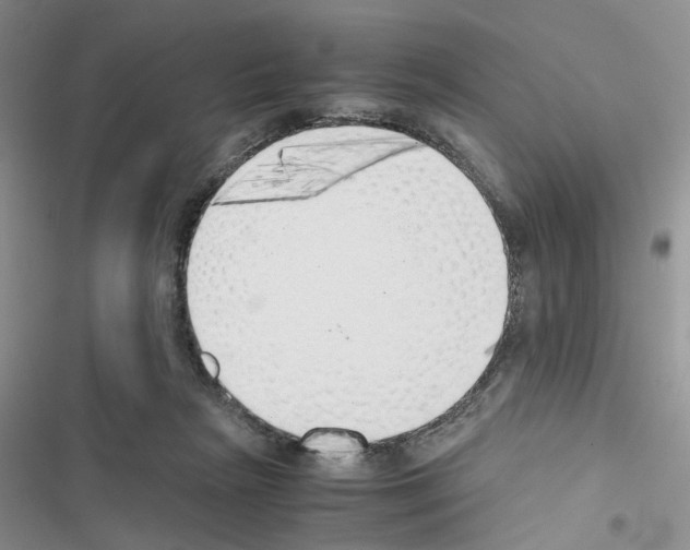 X0000116620265201001221346
