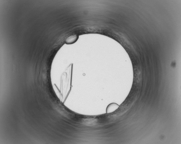 X0000116620266201001221346