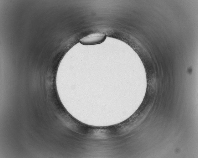 X0000116620268201001221346