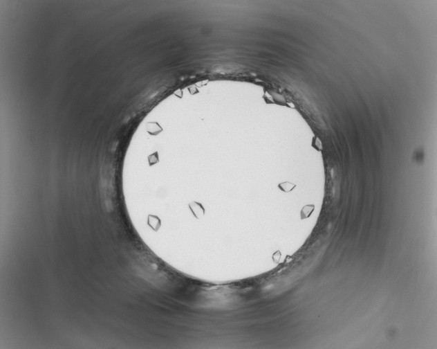 X0000116620269201001221346