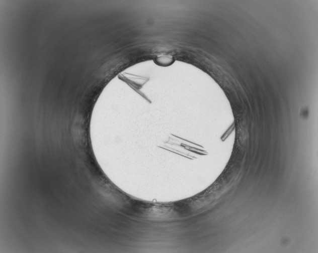 X0000116620270201001221346