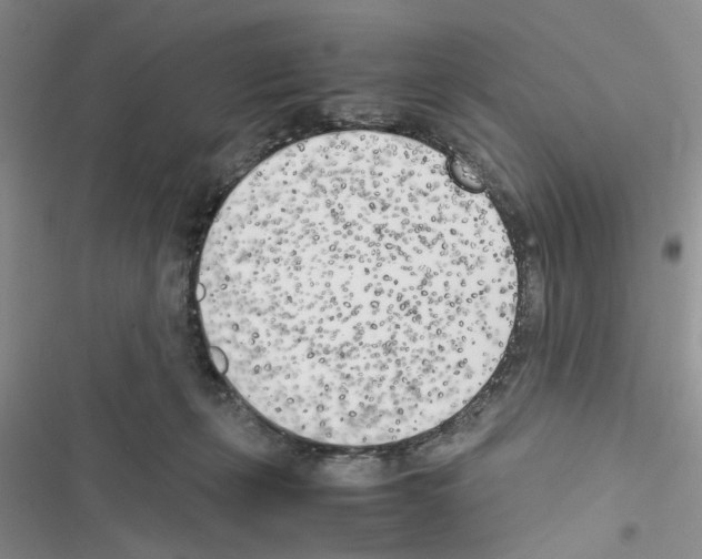 X0000116620271201001221346