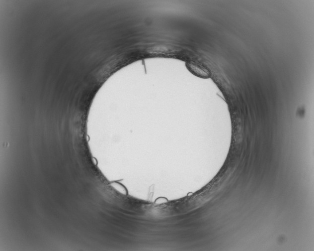 X0000116620273201001221346