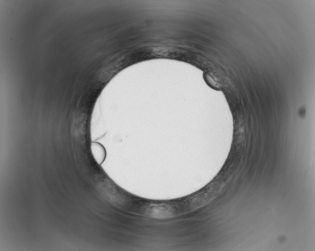 X0000116620275201001221346