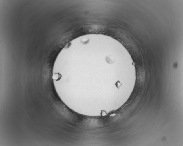 X0000116620276201001221346
