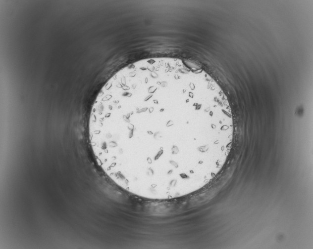 X0000116620277201001221346