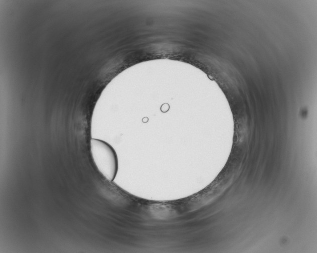 X0000116620279201001221346