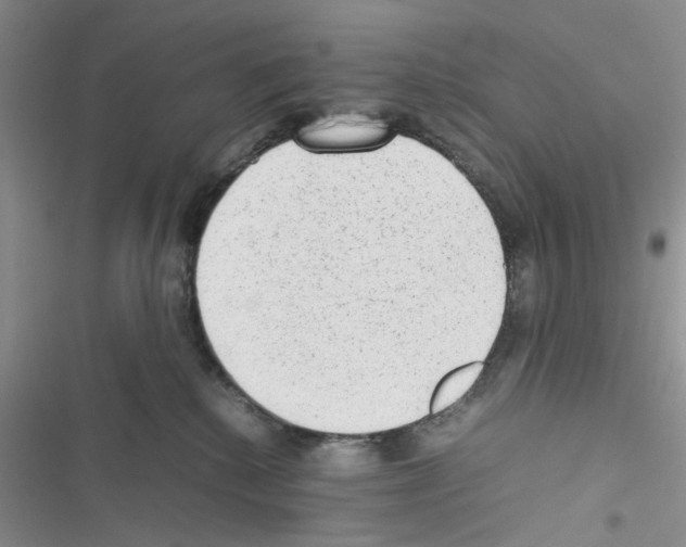X0000116620280201001221346