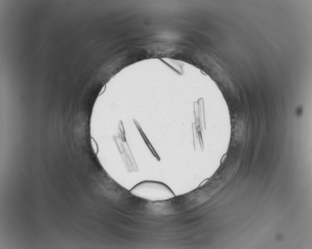 X0000116620283201001221346